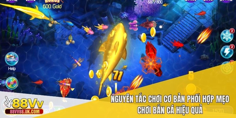 Nguyên tắc chơi cơ bản phối hợp mẹo chơi bắn cá hiệu quả