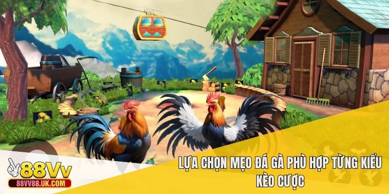 Lựa chọn mẹo đá gà phù hợp từng kiểu kèo cược