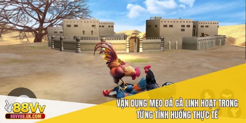 Vận dụng mẹo đá gà linh hoạt trong từng tình huống thực tế