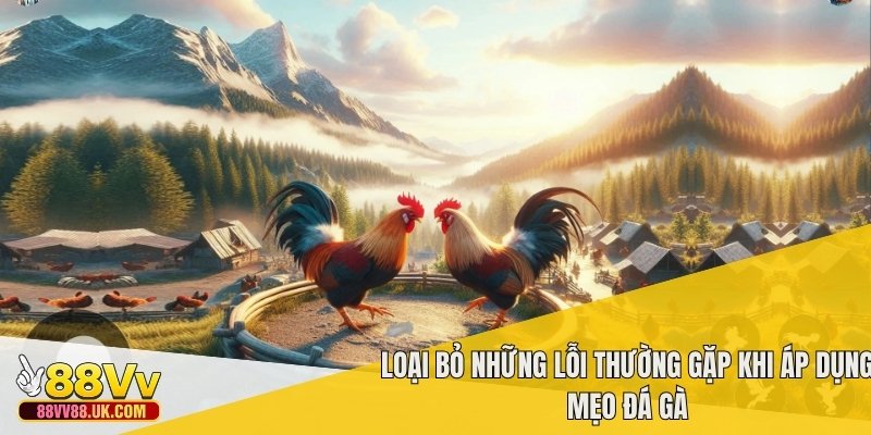 Loại bỏ những lỗi thường gặp khi áp dụng mẹo đá gà